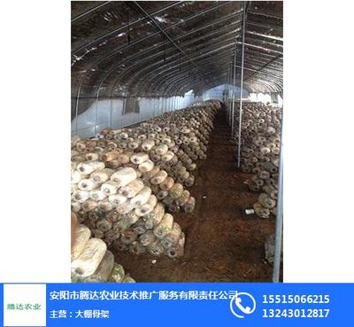 洛陽養(yǎng)殖大棚,騰達農(nóng)業(yè),養(yǎng)殖大棚建設(shè)廠家