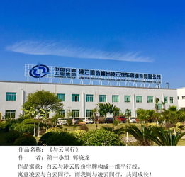 一顆紅心永向黨,建功立業(yè)新時代 凌云西南區(qū)域柳州工廠黨支部舉辦 中國夢 凌云夢 主題攝影活動